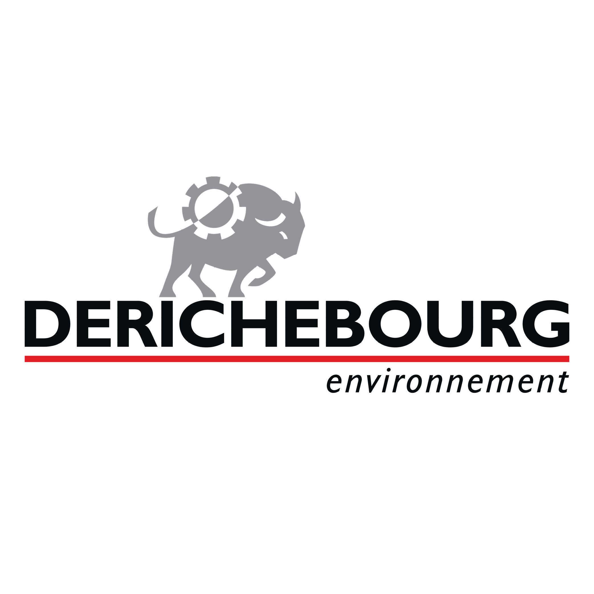 Derichebourg Environnement